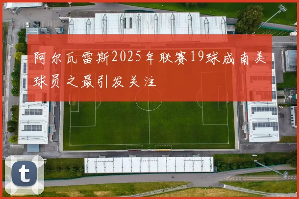 阿尔瓦雷斯2025年联赛19球成南美球员之最引发关注
