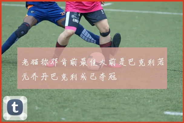 老猫称邓肯前最佳大前是巴克利若无乔丹巴克利或已夺冠