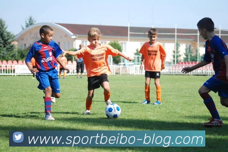 贝博体育APP 封面图